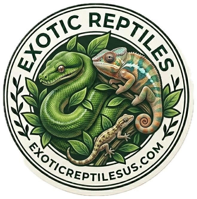 exoticreptilesus.com